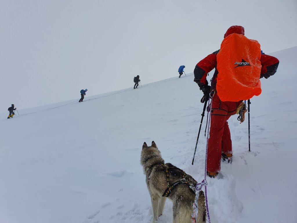 Featured image of the expedition report