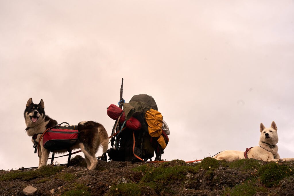 Spitzbergen 1: Landschaft, gern Gletscher, Fjord mit Eis oder Tundra-Weite