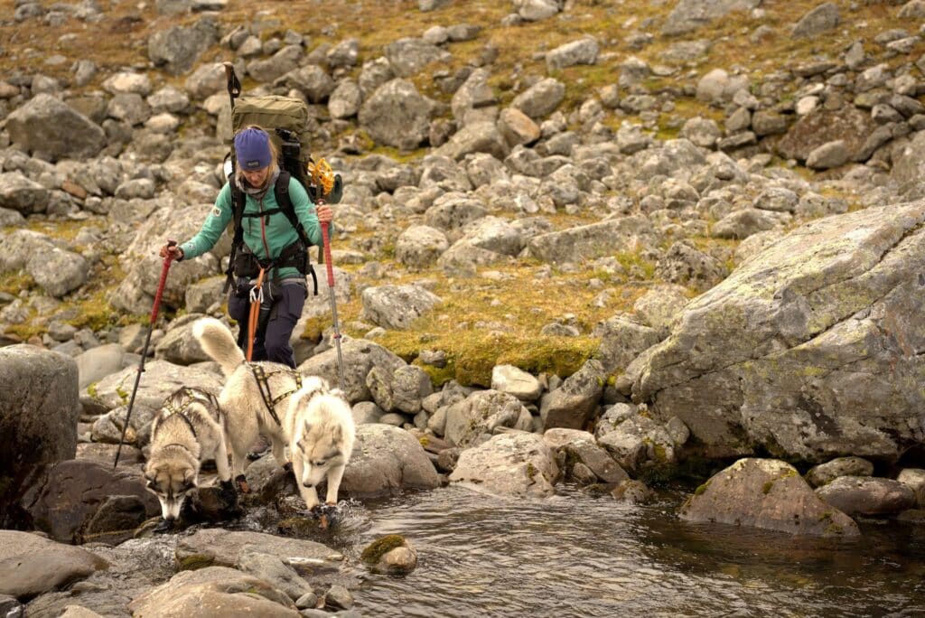 Featured image of the expedition report