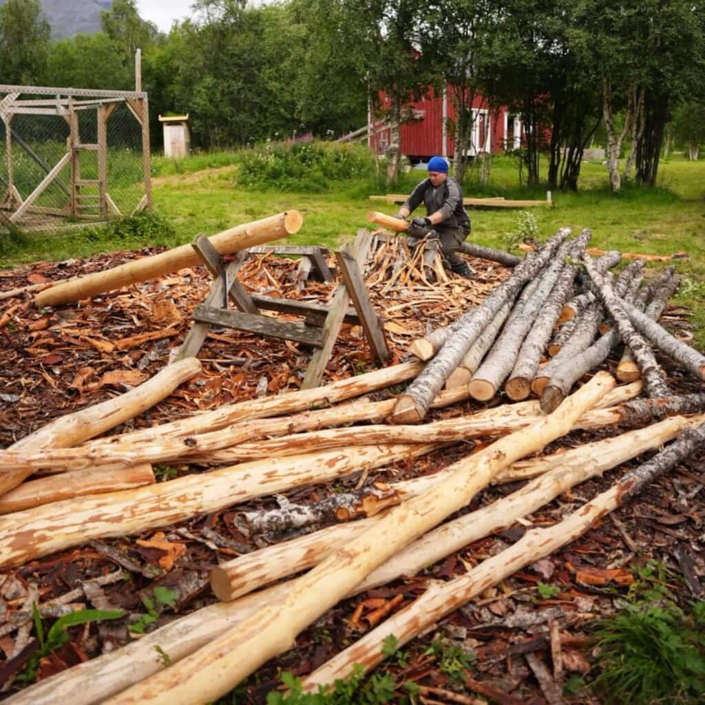 Freshly debarked posts stacked in the yard