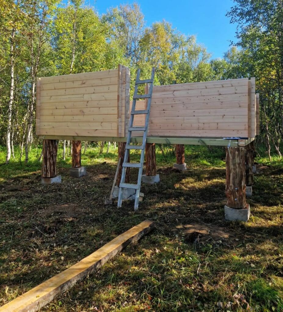 Timber frame of the cabin for guide Meike on stilts in the birch forest