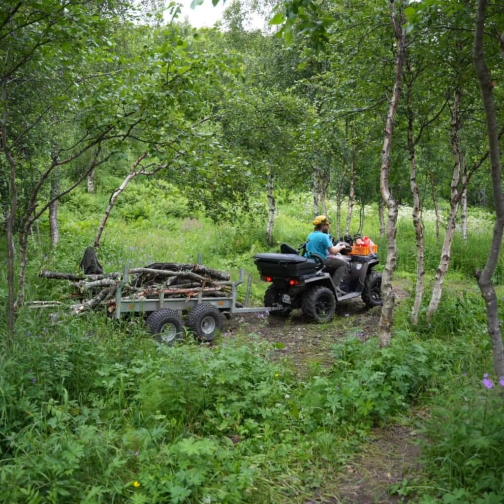 A quad with trailer brings the trunks out of the birch forest